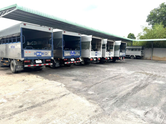 học lái xe hạng c1